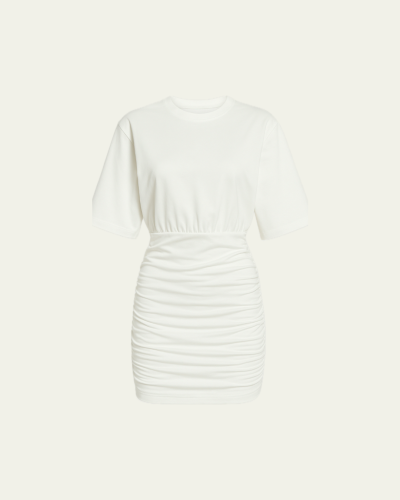 Untitled design 7.PNG