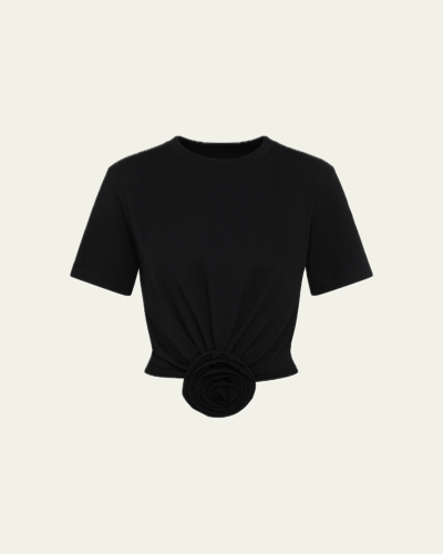 Untitled design 13.PNG