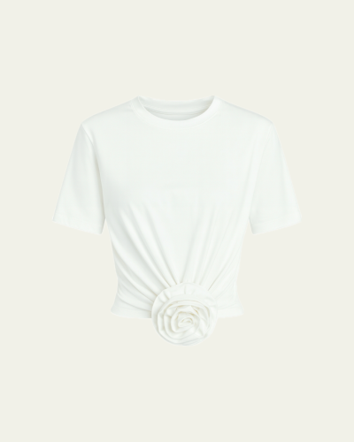 Untitled design 17.PNG